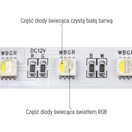 Taśma LED Premium RGBW 12V 18W IP20